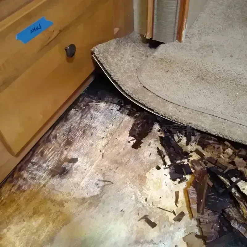 Wood Floor Water Damage in Rossmoor, MD